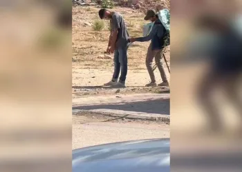 Vali yardımcısının oğlunun katil zanlısı dolandırıcılık çetesinin üyesi çıktı