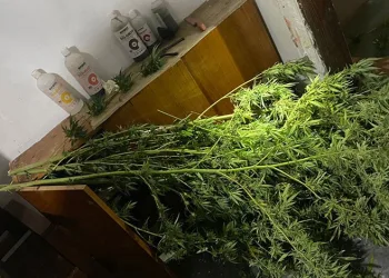 Parkta bıçaklı kavga, yaralanan iki kişi hastaneye kaldırıldı