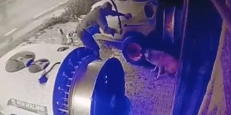 Bursa’da tavuğunu yiyen köpeği döverek öldürdü