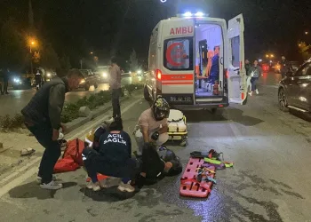 Edirne’de çiftlik yangını: Tavuklar ve arılar telef oldu