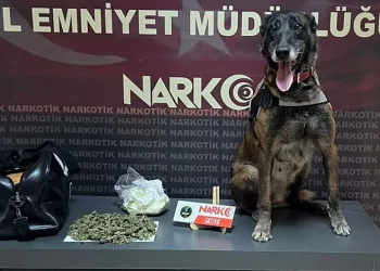 Batman’da durdurulan yolcu otobüsünde skunk madde uyuşturucu yakalandı