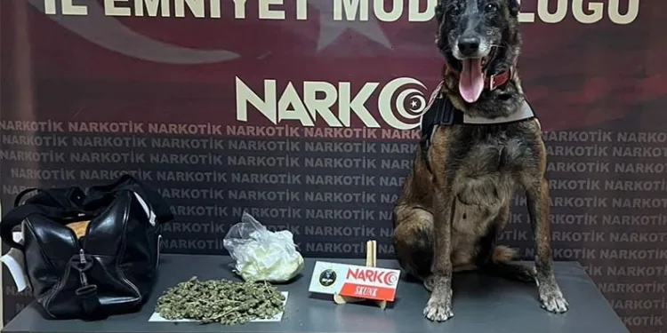 Batman’da durdurulan yolcu otobüsünde skunk madde uyuşturucu yakalandı