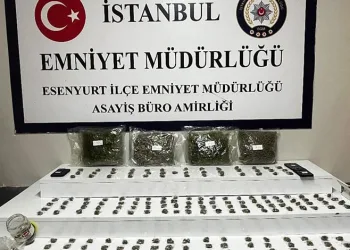 Öğrenciler ile terör örgütü mensuplarını buluşturan dernek yöneticisi yakalandı