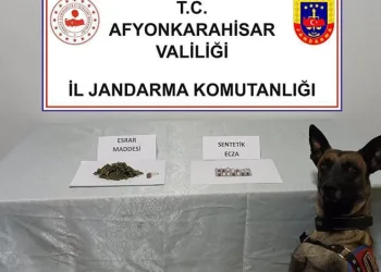 Manavgat’ta kamyonet ile otomobil çarpıştı: 2 yaralı