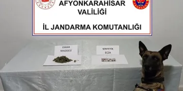 Manavgat’ta kamyonet ile otomobil çarpıştı: 2 yaralı