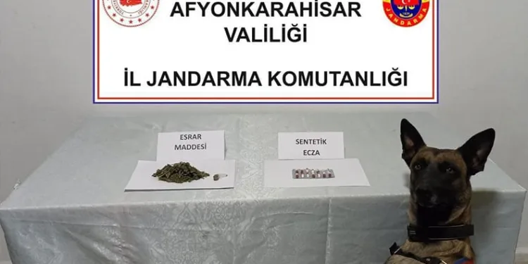 Manavgat’ta kamyonet ile otomobil çarpıştı: 2 yaralı