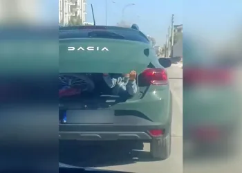 Cins köpekler jandarmayı geçemedi