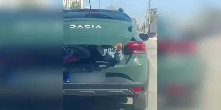 Cins köpekler jandarmayı geçemedi