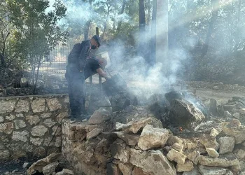Otomobil ve motosiklet çalan hırsız Viranşehir’de yakalandı