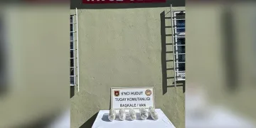 Eylem hazırlığındaki DEAŞ’lı yakalandı