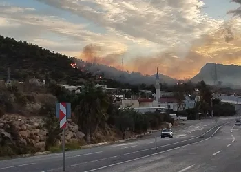 Mersin Bozyazı’da orman yangını büyümeden söndürüldü