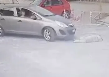 Ayvacık açıklarında 33 kaçak göçmen yakalandı