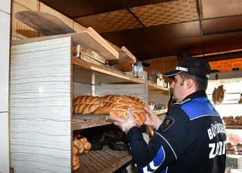 Kontrolden çıkan hafif ticari araç mısır tarlasına yuvarlandı: 5 yaralı