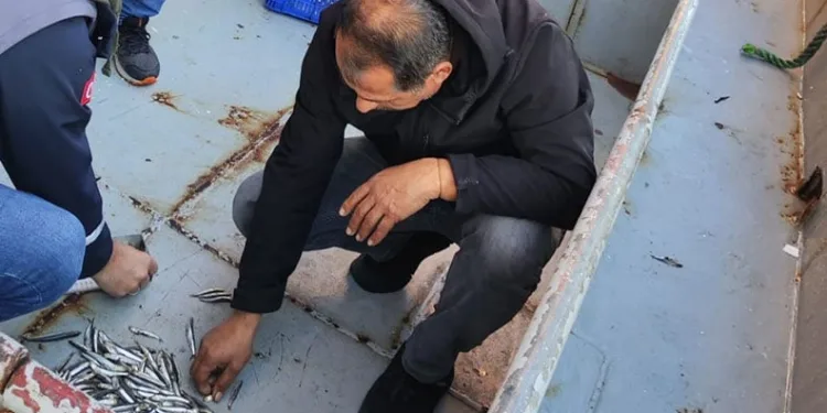 Sinop’ta 40 ton hamsiye el konuldu