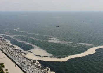 Marmara’da müsilaj geri döndü