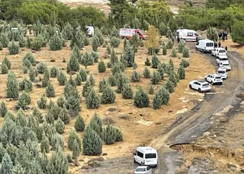 Çocukların maytapla oyunu kötü bitti: 2 yaralı