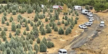 Çocukların maytapla oyunu kötü bitti: 2 yaralı