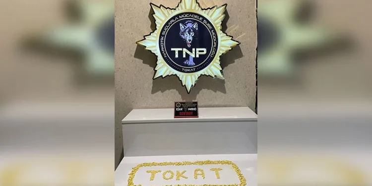 Tokat’ta rekor uyuşturucu operasyonu: 1177 adet Ecstasy ele geçirildi