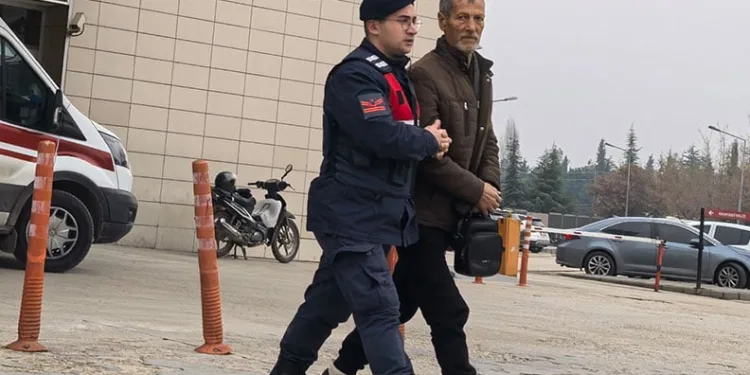 Bursa’da yasadışı bitki yetiştiren şahıs yakalandı