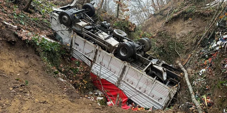 Ormana yuvarlanan kamyona 4 gün sonra ulaşıldı