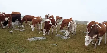 Jandarma ekipleri minik öğrencilere doğa sevgisini anlattı