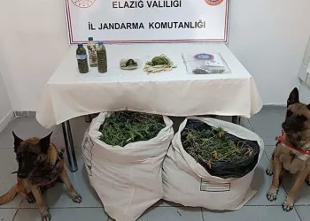 Elazığ’da uyuşturucu tacirlerine darbe