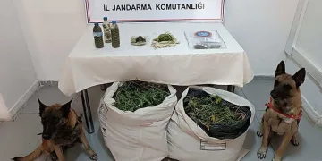 Elazığ’da uyuşturucu tacirlerine darbe