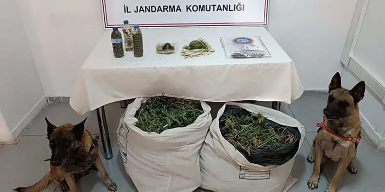 Elazığ’da uyuşturucu tacirlerine darbe