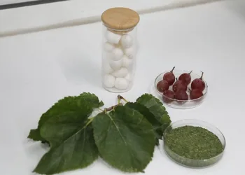 BTÜ’de diyabet hastalarına özel gıda kaplaması geliştirildi