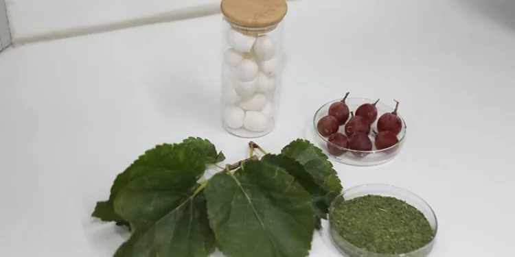 BTÜ’de diyabet hastalarına özel gıda kaplaması geliştirildi