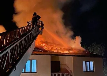 Kadıköy’de 1 ton kaçak midye ele geçirildi