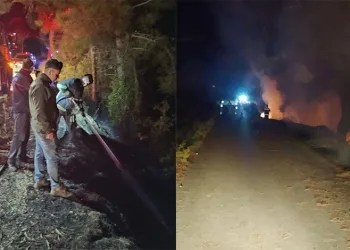 Dörtol’da orman yangını