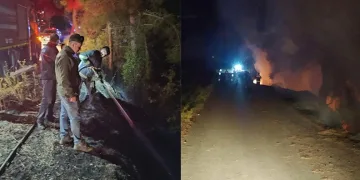 Dörtol’da orman yangını