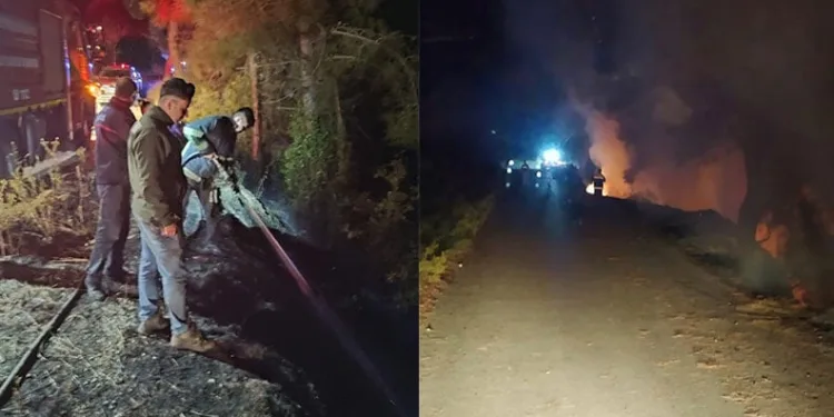 Dörtol’da orman yangını