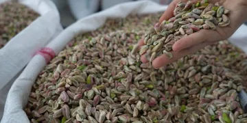 Antep fıstığına Dubai çikolatası etkisi