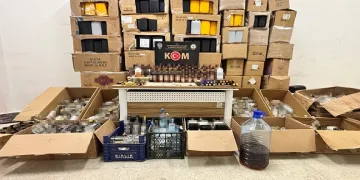 Yalova’da öldürülen kadın girişimcinin katil zanlılarının İran’dan iadesi istendi