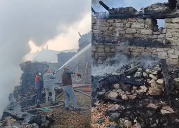 Kütahya’da 7 ev 4 hayvan barınağı kül oldu