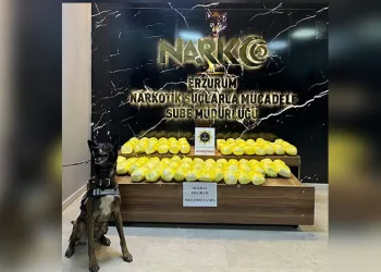 Bayburt’ta şüpheli hareketler sergileyen 2 şahısın üzerinden uyuşturucu madde çıktı