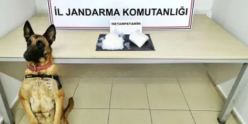 TIR şoförü uyuşturucu maddeyle yakalandı