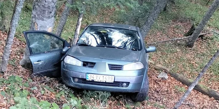 Yedigöller yolunda otomobil ormanlık alana uçtu