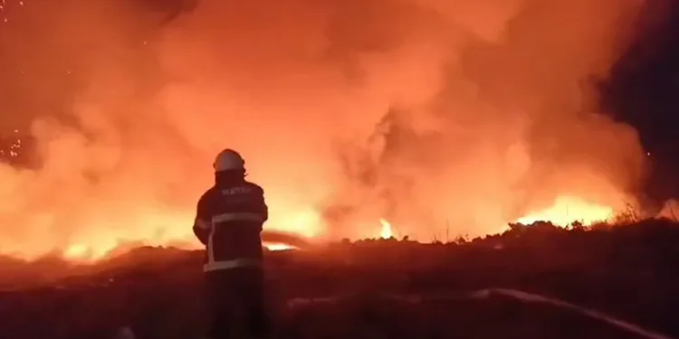 Hatay’da tarım arazisinde yangın