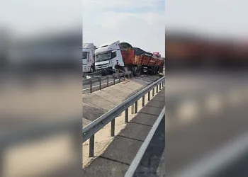 Aydın’da jandarma ekipleri uyuşturucuya geçit vermiyor