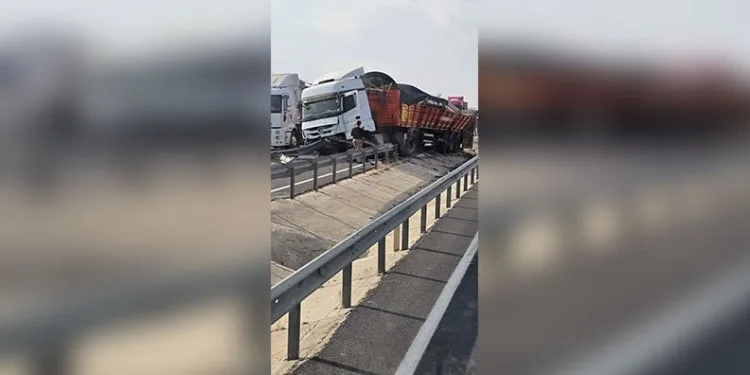 Aydın’da jandarma ekipleri uyuşturucuya geçit vermiyor