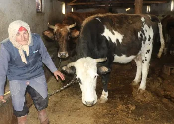 Dilber ninenin inanılmaz hayat mücadelesi