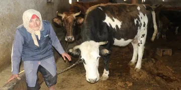 Dilber ninenin inanılmaz hayat mücadelesi