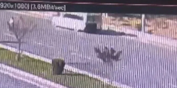 İndikleri minibüsün altında kaldılar
