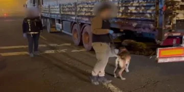 Batman’da bir TIR’da da 8 kilo uyuşturucu yakalandı: 2 kişi tutuklandı