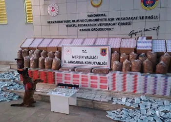 Edirne menkezli 4 ilde oto dolandırıcılığı operasyonu: 5 tutuklama