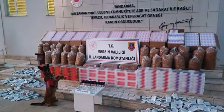 Edirne menkezli 4 ilde oto dolandırıcılığı operasyonu: 5 tutuklama
