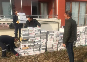 Bilecik’te ‘Sancak 2 Operasyonu’: 1 kişi tutuklandı